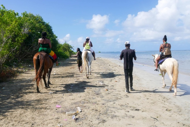 Package Deal #4 | Horseback Riding, Sea Tubing, and more