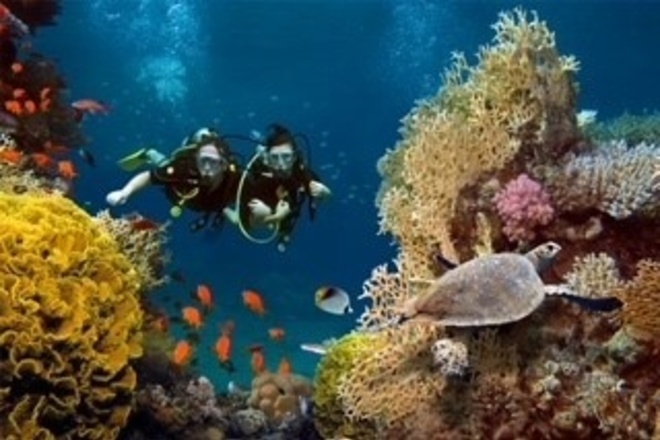 Snorkeling