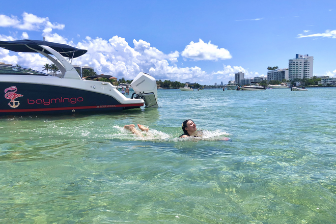 Haulover Sandbar Boat Tour