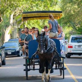 Carolina Polo and Carriage Tour Company