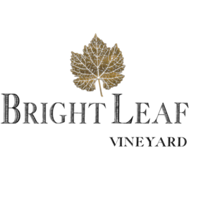 Bright Leaf Vineyard