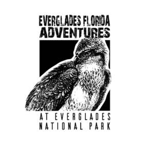 Everglades Florida Adventures
